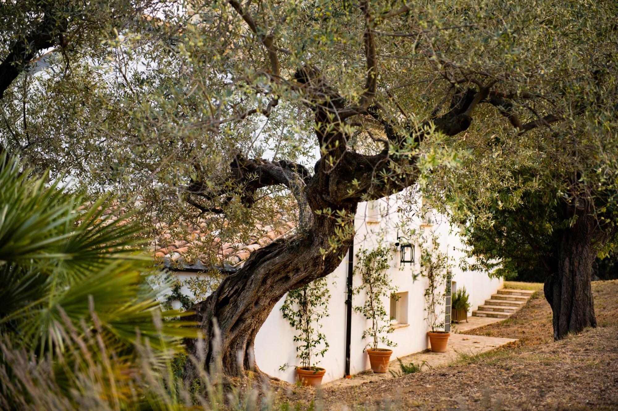 Casale Delle Lavande Citta Sant'Angelo Bagian luar foto